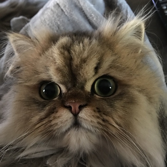 Meet your Posher, Sharon - Picture 6 of 16